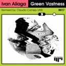Ivan Aliaga - Green Vastness (Claudio Cornejo (AR) Remix)