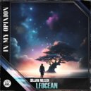 Orjan Nilsen - FLOcean (Extended Mix)