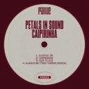 Petals In Sound - Our Place (Original Mix)