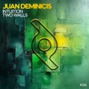 Juan Deminicis - Two Walls (Original Mix)