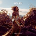 Roger Gunn - Orion