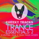 Scott Farrimond - Inspiration (Craig Jones Remix)