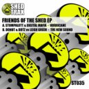 Donut & Dotz & Leigh Green - The New Sound (Original Mix)