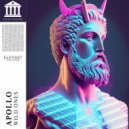 APOLLO. - Wild Ones (Instrumental Mix)