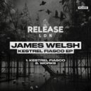 James Welsh - Kestrel Fiasco (Original Mix)