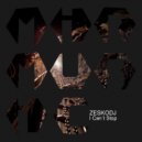 Zeskodj - I Can T Stop