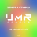 Venera Veyron - The meaning of life (original mix)