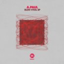 A.Paul - Unseen Worlds