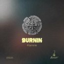 Flaminik - Burnin