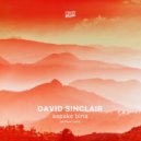 David Sinclair - Aapake Bina (Without You)