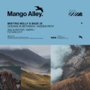 Meeting Molly, Maze 28 - Oceans in Between