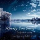 SounEmot State (DJ) - The Best of 2023 from Sounemot Labels Group (Mixed by Boriz Vicious)