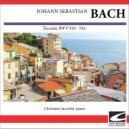Christiane Jaccottet - Bach Toccata in E minor, BWV 914