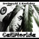 Brotharedd & Koolieboy - CaliFlorida (feat. Koolieboy) ()