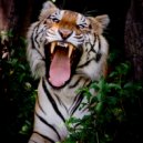 Stanly Casavez - Impassioned Activity (Original Mix)