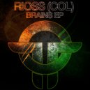 Rioss (Col) - Don\'t let (Original Mix)