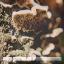 Mogi Grumbles - ... into clouds 08
