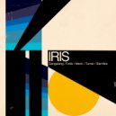 Iris - The Challenge