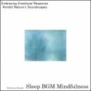 Sleep BGM Mindfulness - Soundscape of Inner Reflection