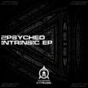 2psyched - Intrinsic