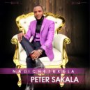 Peter Sakala - Nalichetekela (Original Mix)