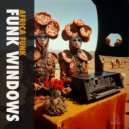 Funk Windows - Mr Funk