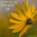 Juan Mejia - Hold Me