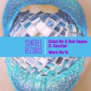 Oded Nir, Rob Hayes & Mr. Sandler - Want Me To (Radio Edit)