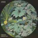 Echoing Souls - Spectrum Disorder