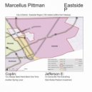 Marcellus Pittman - Slick Nickle Pladium Investment