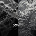 Cam Lasky - Son of a Pig (Original Mix)