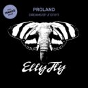 Proland, Tommy Veanud - Congo