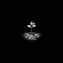 laern - alive ()