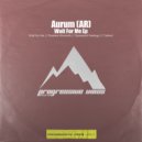 Aurum (AR) - Carried (Original Mix)