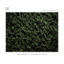 Mico Roulo - Synthetic Walk