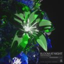 Miss Monique - Bloom At Night (Extended Mix)