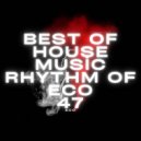 BEST OF HOUSE MUSIC - RHYTHM OF ECO 47