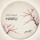 Synth Hiacynt - Haiku (Original Mix)