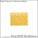Sleep BGM Mindfulness - Lullabies from the Heart with Deep Sleep Music for Comfort