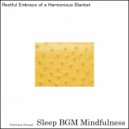 Sleep BGM Mindfulness - Whispers of Cognitive Resonance Guiding Night\'s Reprieve (Original Mix)