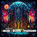 Shirda - Liquid Square Dimension