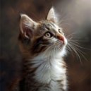 Cat Total Relax & Lo-Fi Japan & Chill Hip-Hop Beats - Naptime Whispers Serene Sounds ()