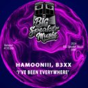 Hamooniii & REBEX - I\'ve Been Everywhere (Edit)