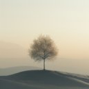 Dromenwever - Zen strandochtend meditatie ()
