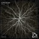 Vishnu - Consciousness (Original Mix)