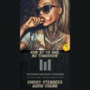 Chrisy Stebbeds & Audio Chunk - No Tomorrow