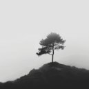 Lichtsnelheid Lied - Zen strand ()