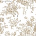 Stereoimagery - Echo Verb