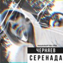ЧЕРНЯЕВ - Серенада (KalashnikoFF Mix 2024)