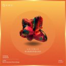 EANP - Rubberband (Euro Version)